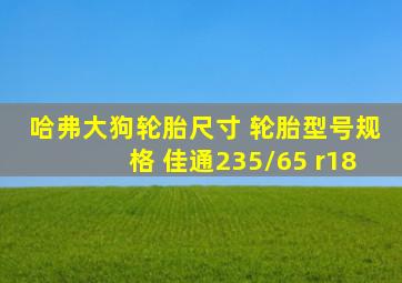 哈弗大狗轮胎尺寸 轮胎型号规格 佳通235/65 r18